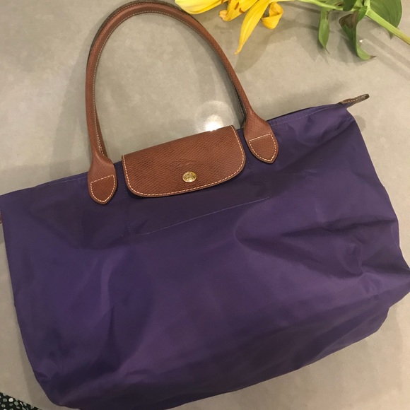 longchamp amethyst